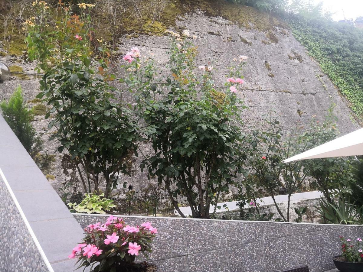 Il Roseto Bed & Breakfast Frosinone Exterior foto